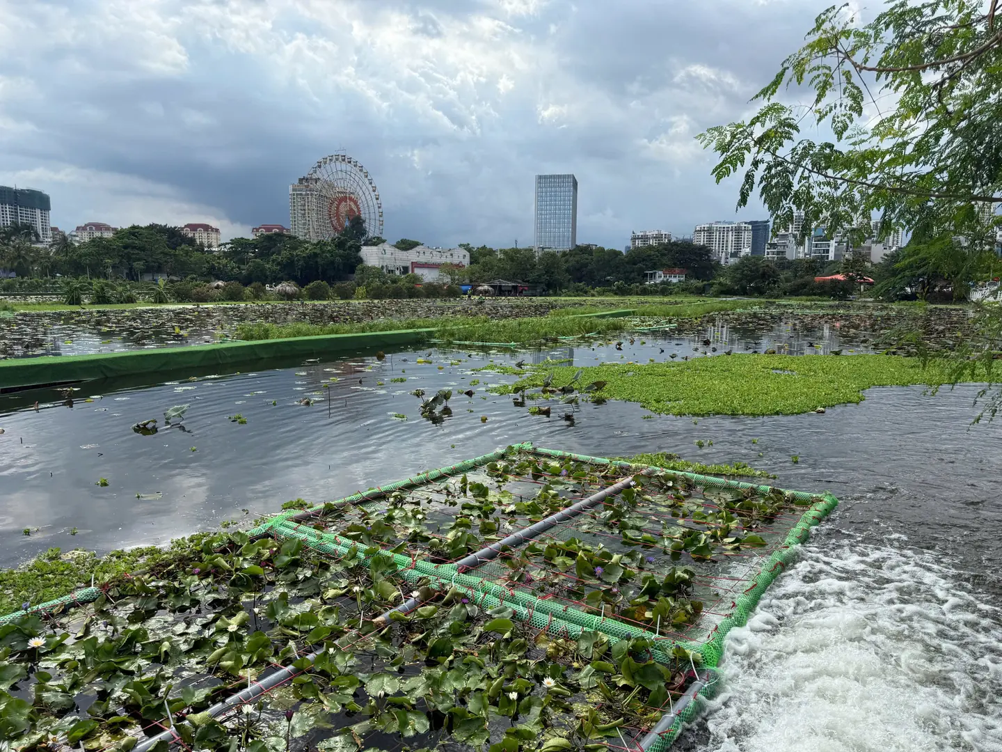 Đài PTTH Hà Nội